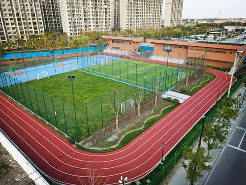 匯聚體育力量，共筑健康青浦——青浦區(qū)全民健身體育組織年度工作盤點(diǎn)