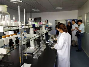 探訪酒香深處的體育魂 百家媒體走進河南仰韶酒業(yè)